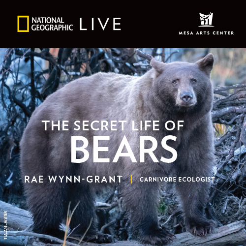 National Geographic Live: Rae Wynn-Grant – The Secret Life of Bears